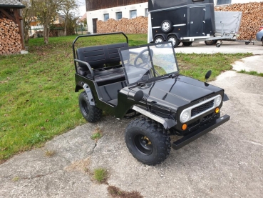 HILLBIL XTR-8 Mini Offroad Kinderfahrzeug Benzin 150 ccm bis 60 km/h (schwarz)